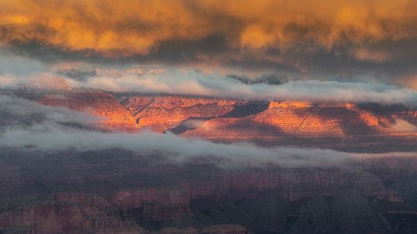 Jaynes Gallery 아티스트의 USA-Arizona-Grand Canyon-Foggy sunrise on canyon작품입니다.